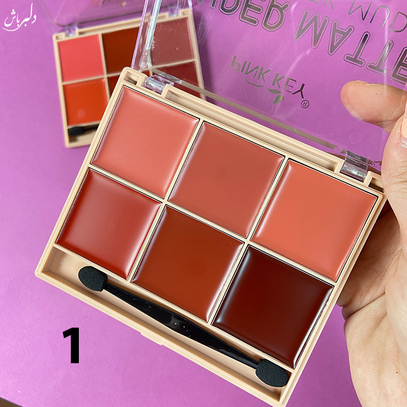 پالت ۶ عددی رژلب و گونه (حراج)