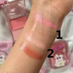 پالت رژگونه خیس فانتزی