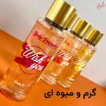 بادی فیلوسوفی شاین دار