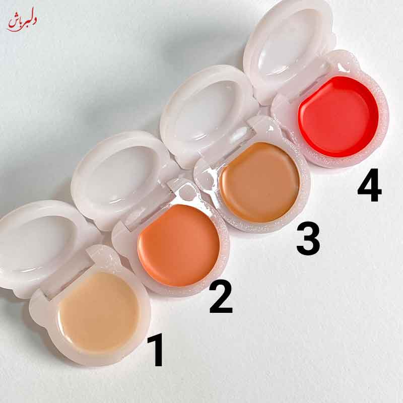 رژلب و رژگونه خیس خرسی